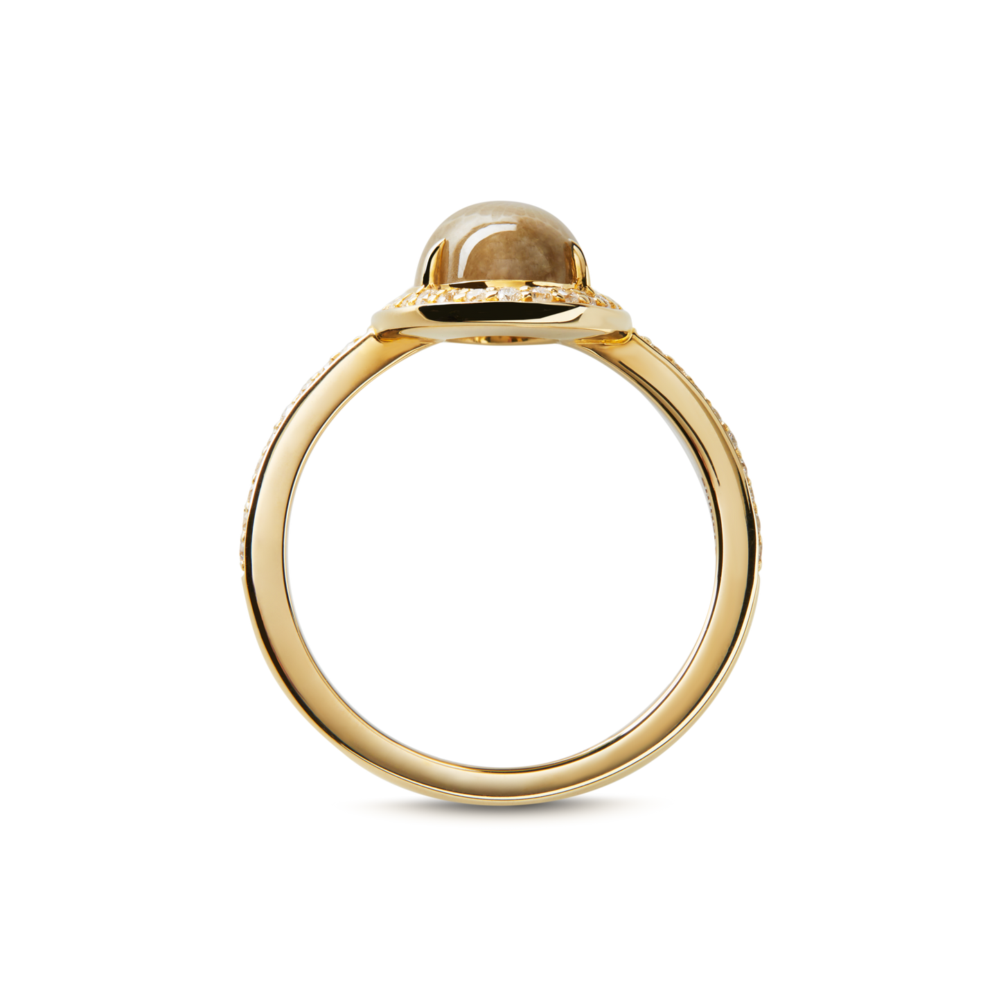 Diamond Pave Petoskey Oval Ring - Yellow Gold