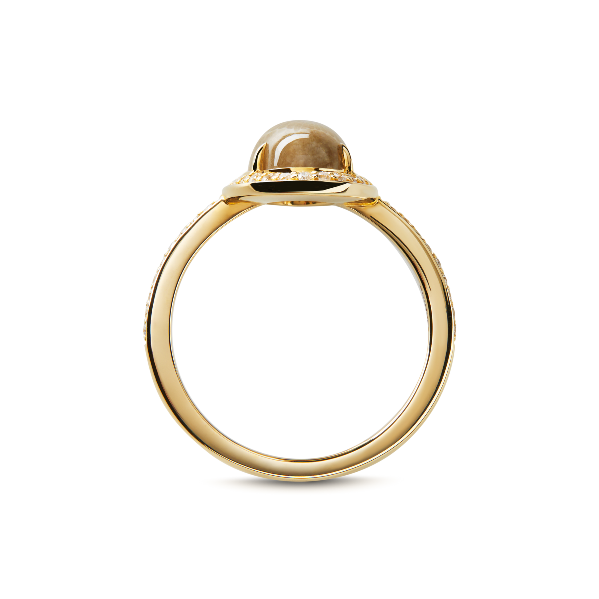 Petite Diamond Pave Petoskey Oval Ring - Yellow Gold