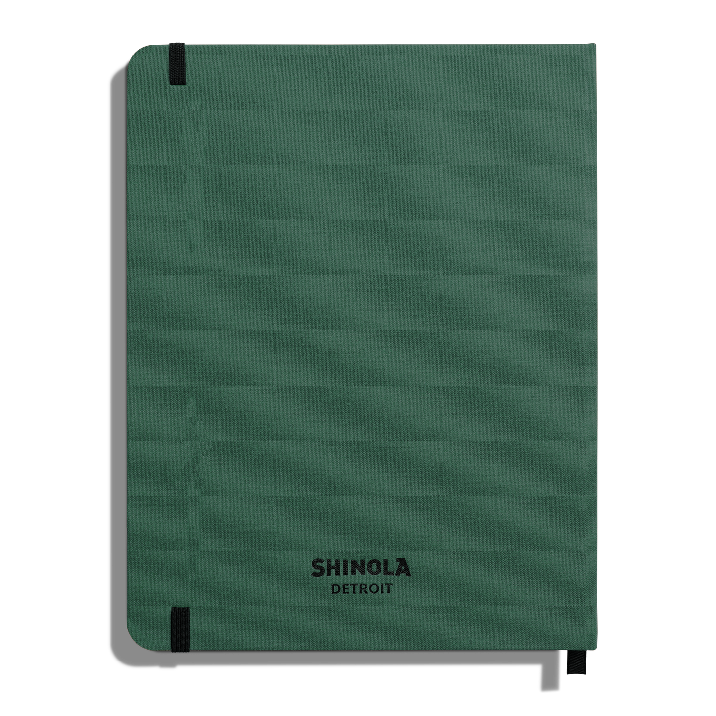 Large Hard Ruled Journal - Fern