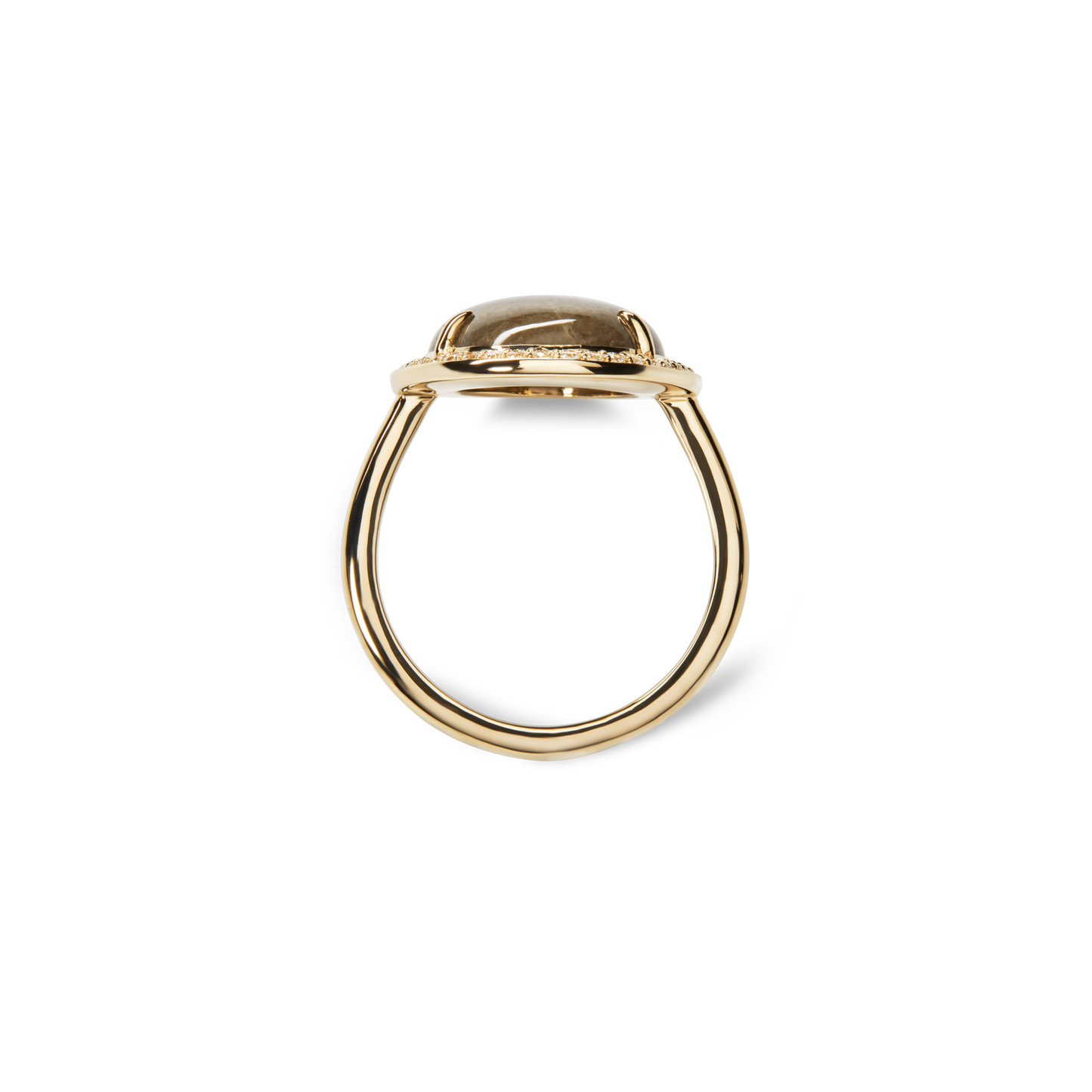 Diamond Pave Oval Petoskey Ring - Yellow Gold