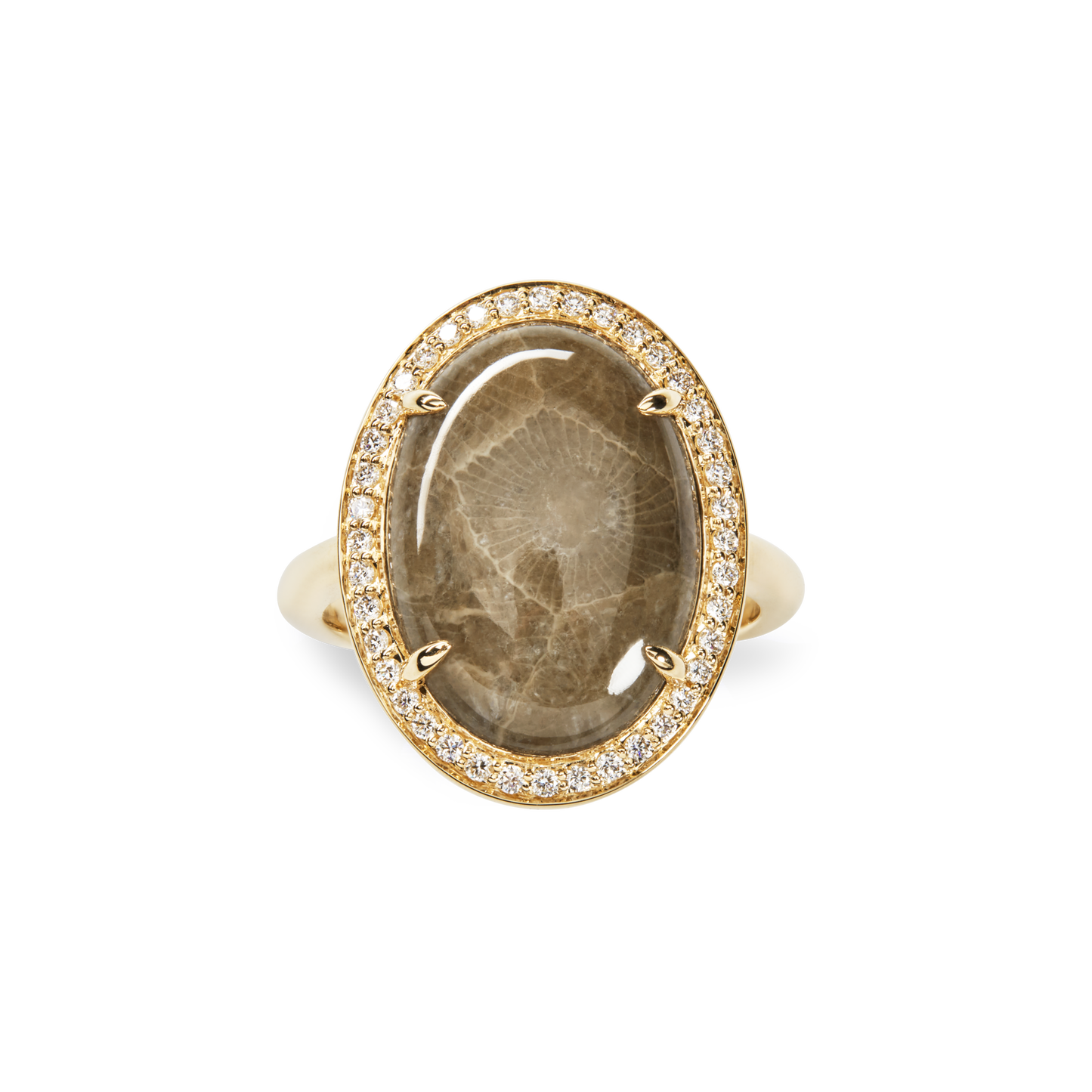 Diamond Pave Oval Petoskey Ring - Yellow Gold