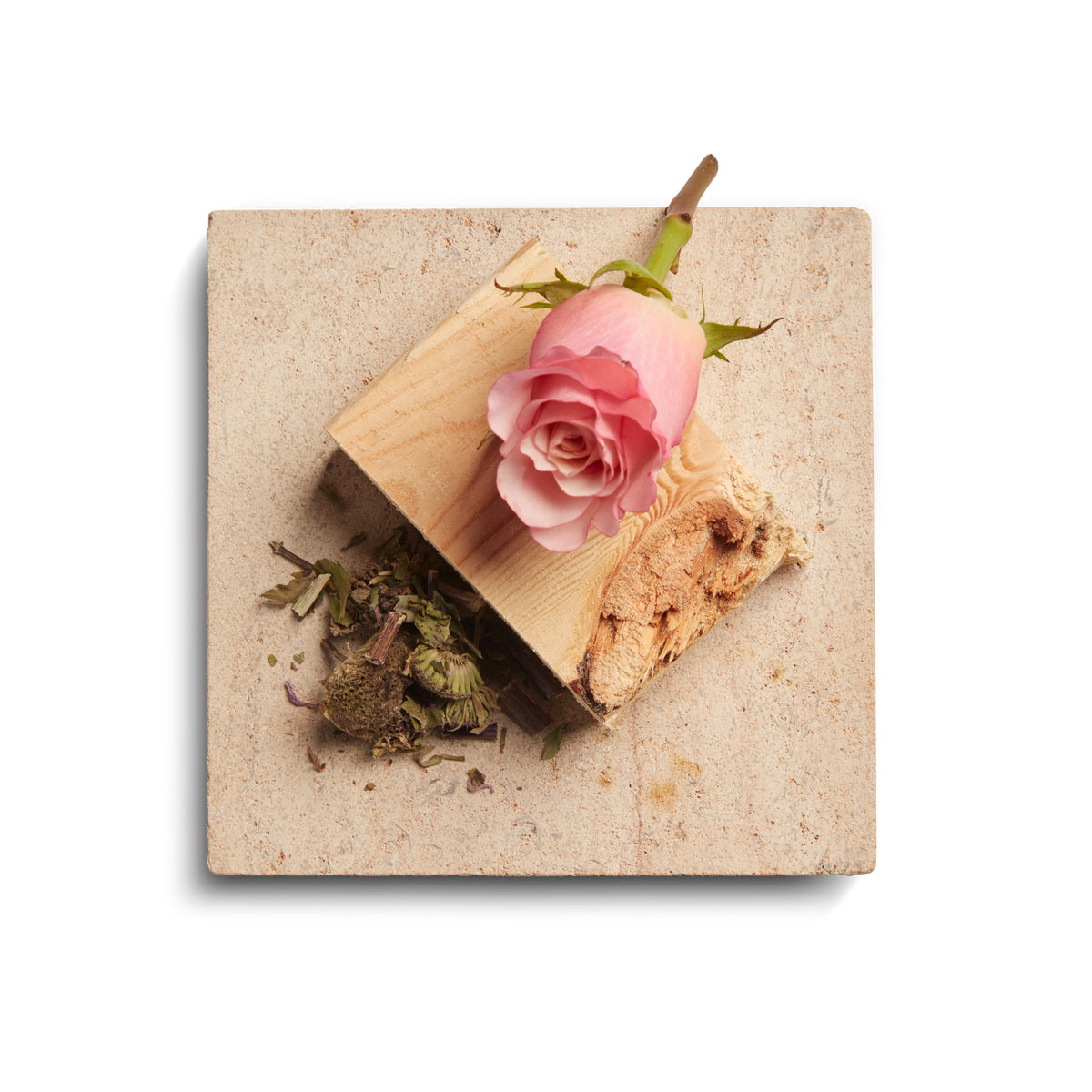Rose 8 oz Scented Candle - Rose