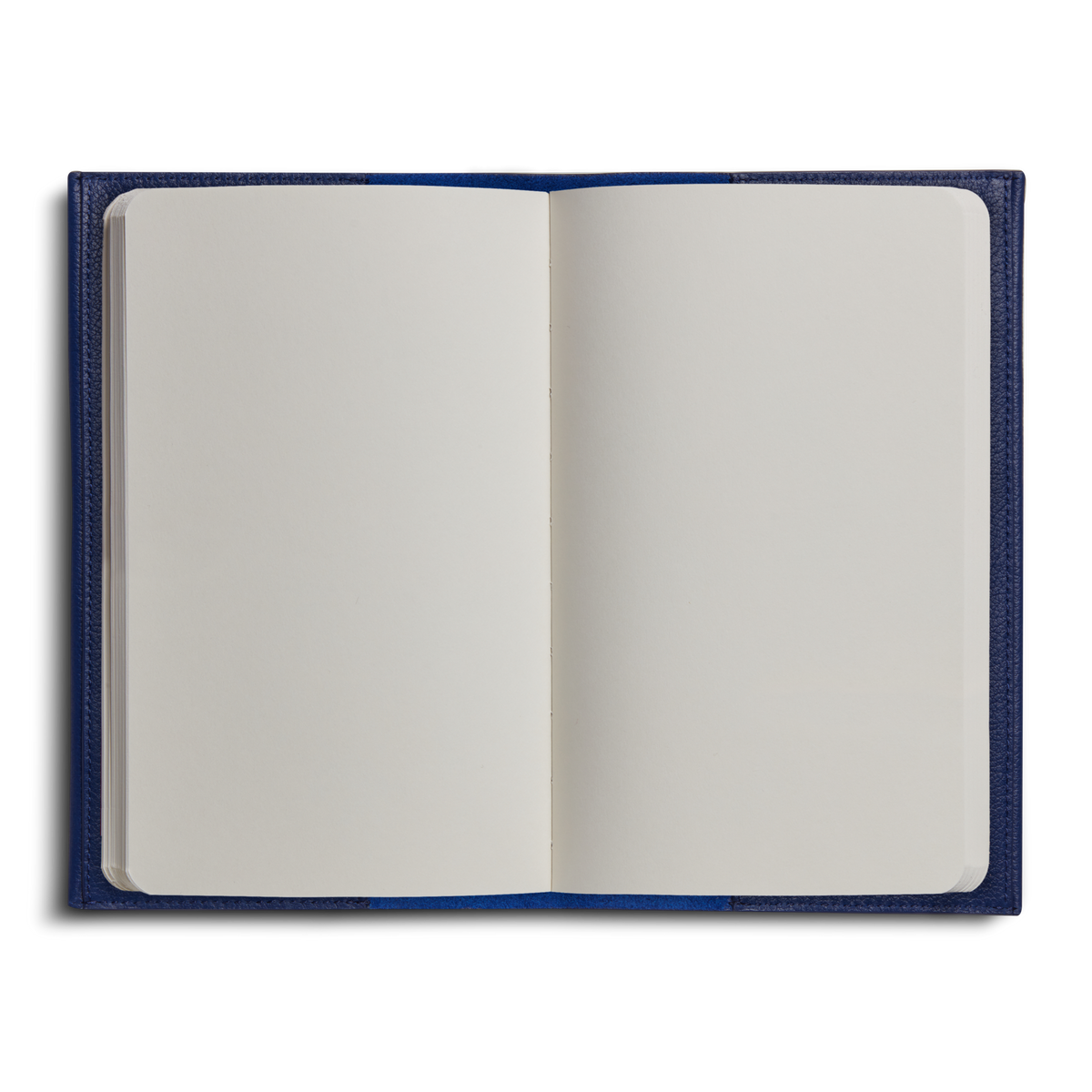 Canfield Medium Journal Cover - Sapphire