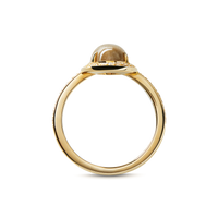 Petite Diamond Pave Petoskey Oval Ring - Yellow Gold