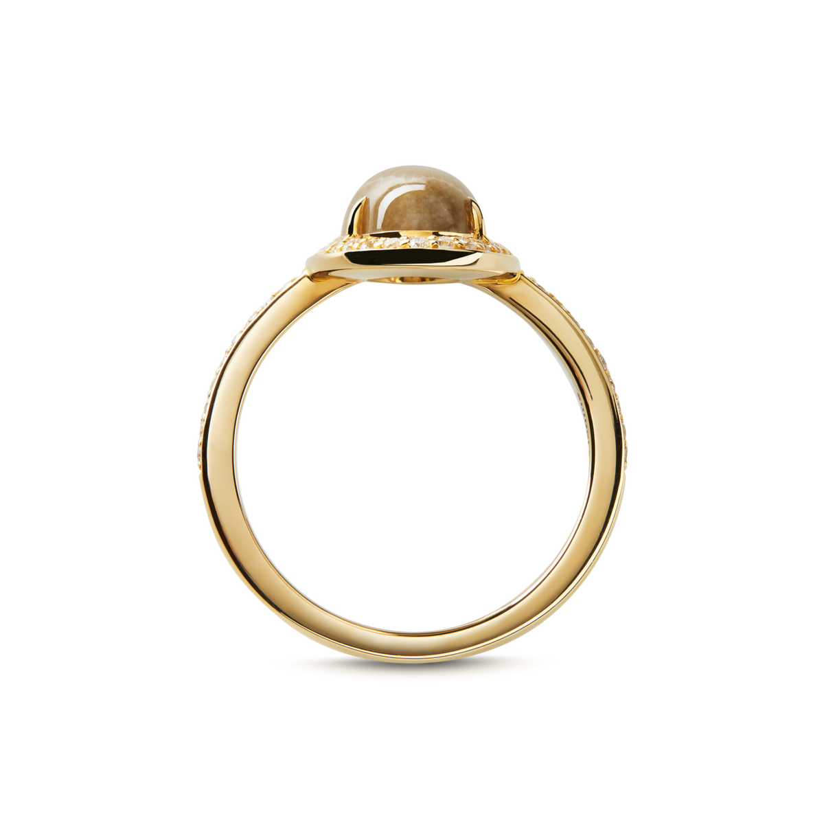 Petite Diamond Pave Petoskey Oval Ring - Yellow Gold