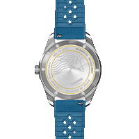 Duck Watch - Blue