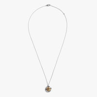 Heirloom Petoskey Pendant Necklace - Sterling Silver