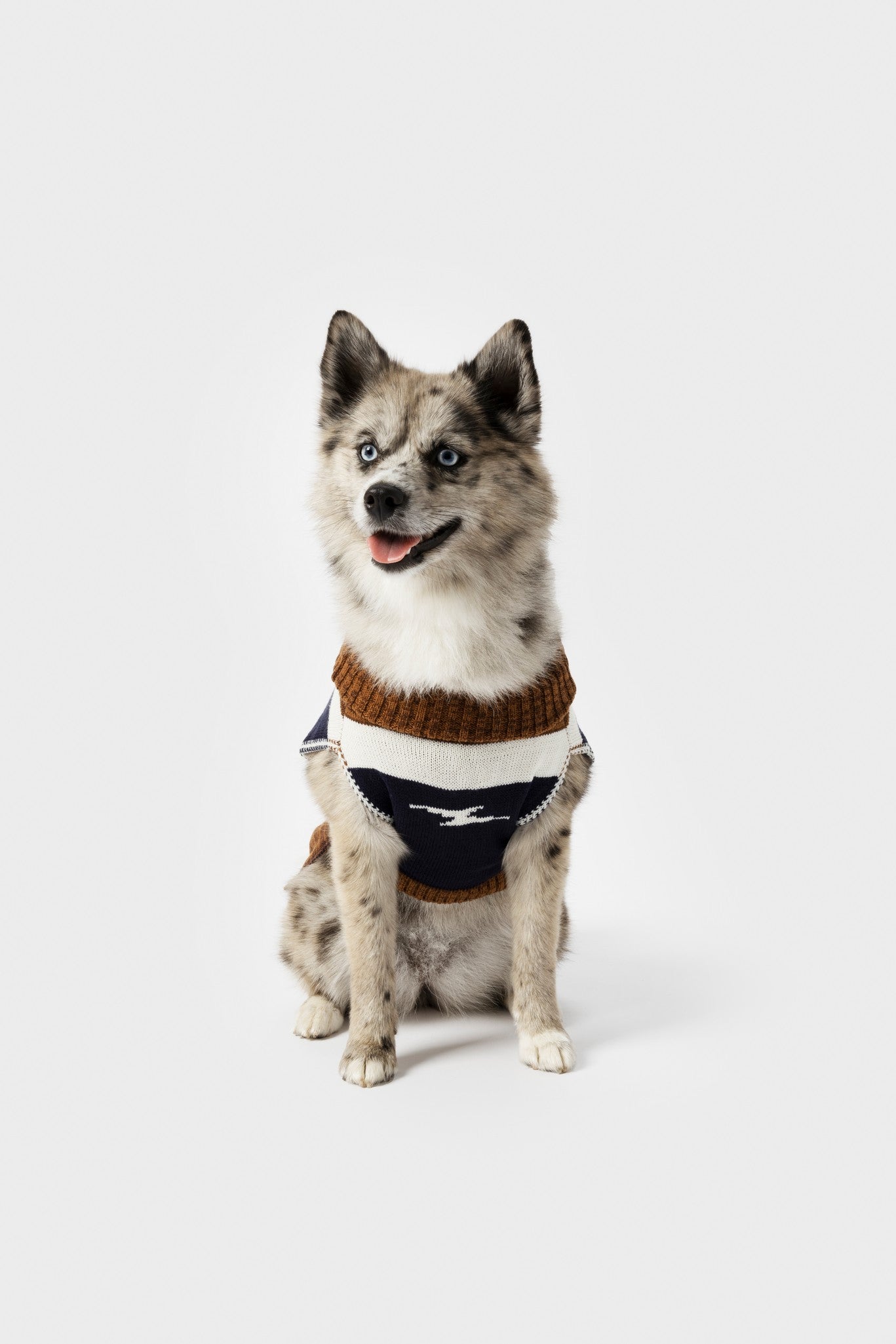 Dog Sweater - Brand Stripe / Tan