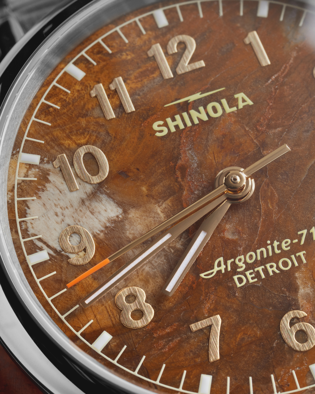 Vinton Watch - Petrified Wood