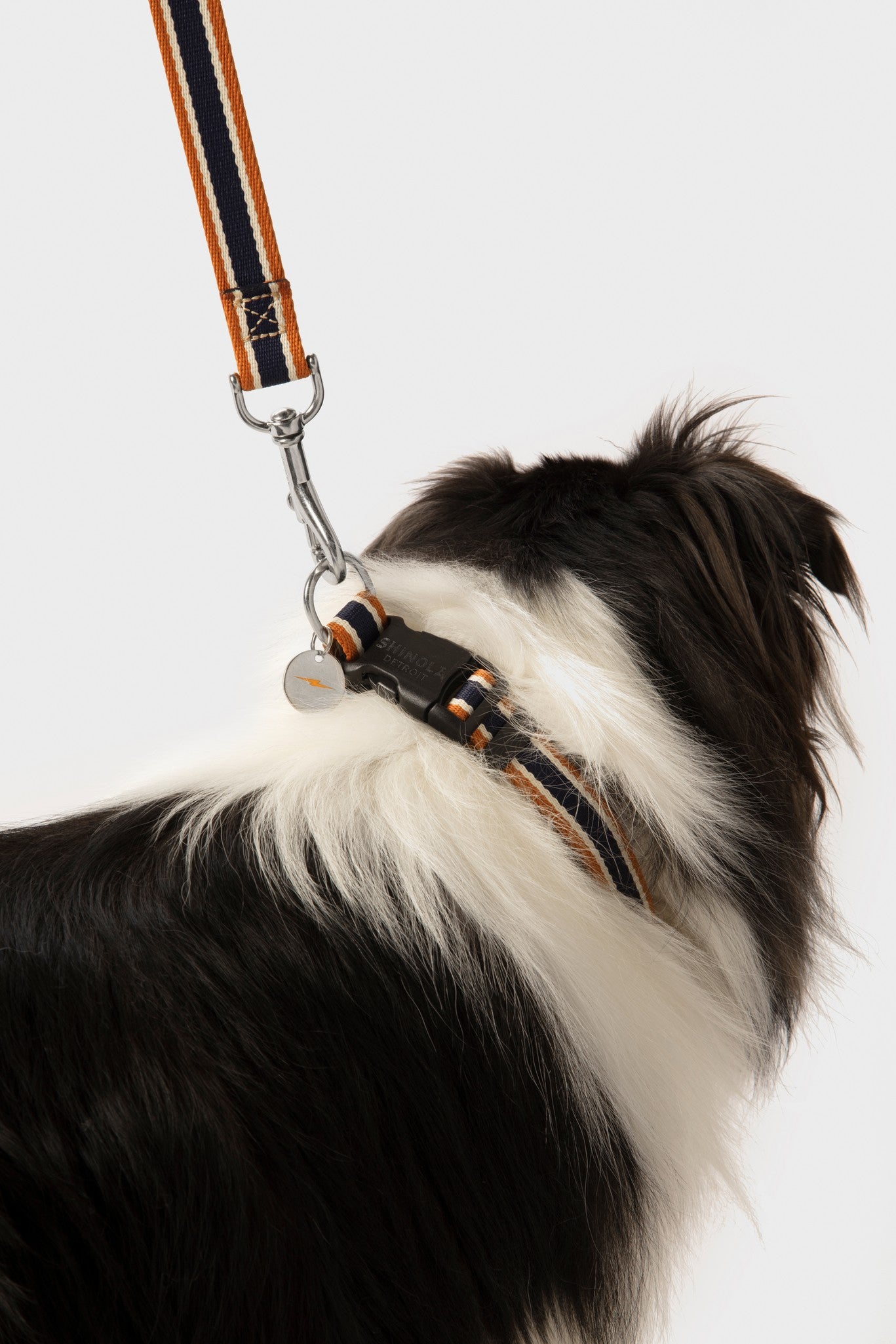 Nylon Dog Leash - Brand Stripe