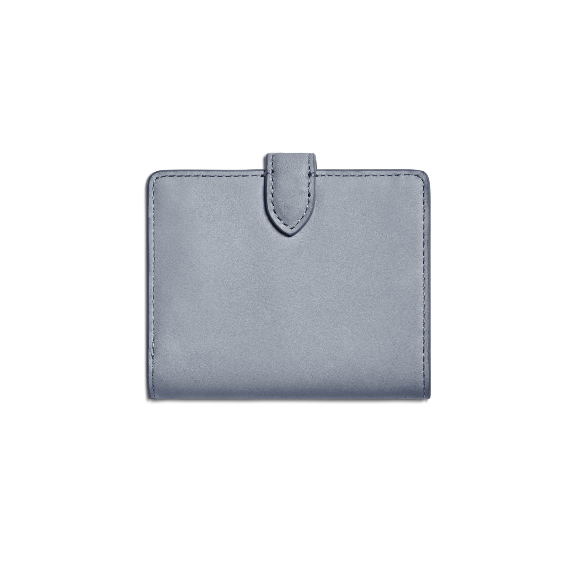 Small Snap Wallet - Mist