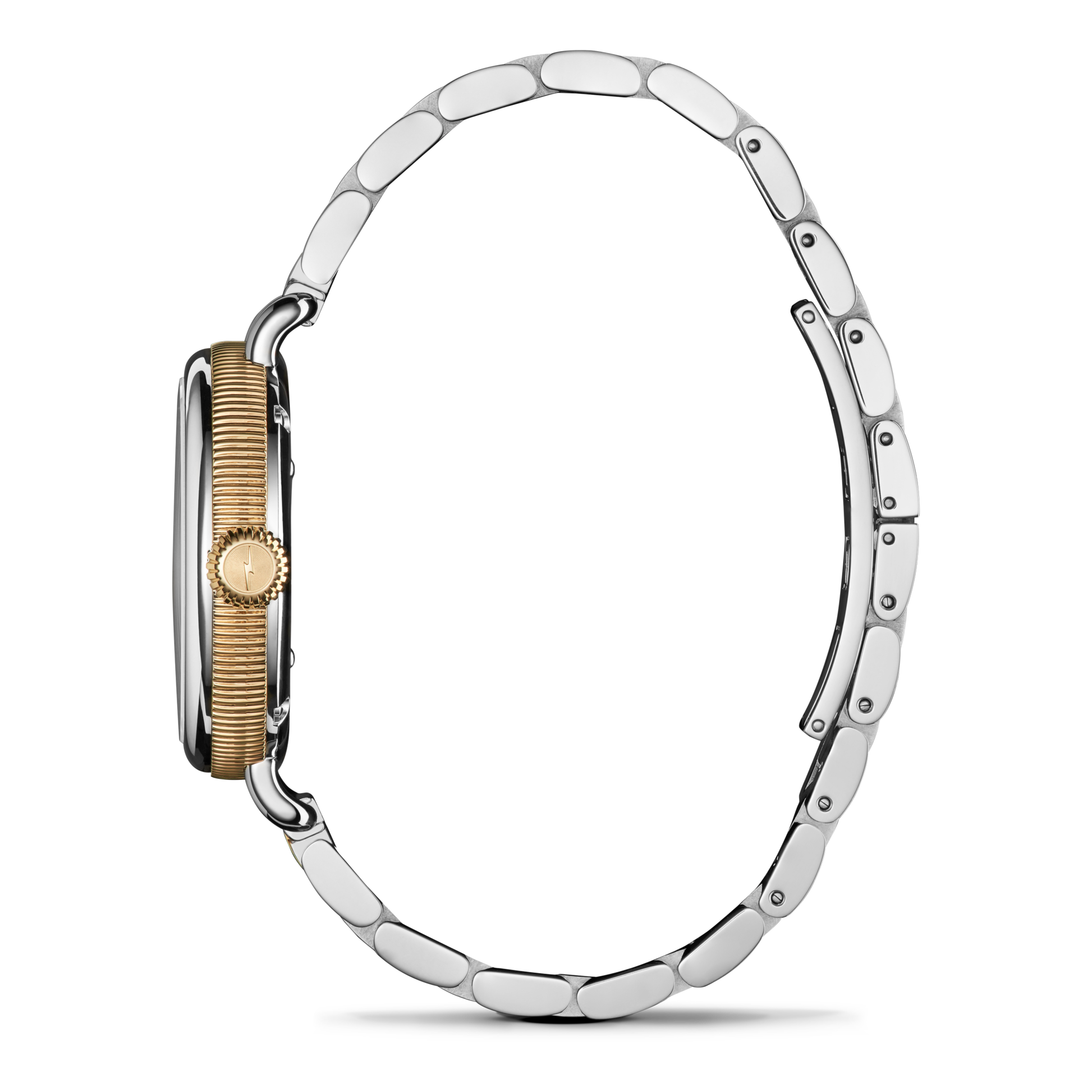 Birdy Watch - Petoskey