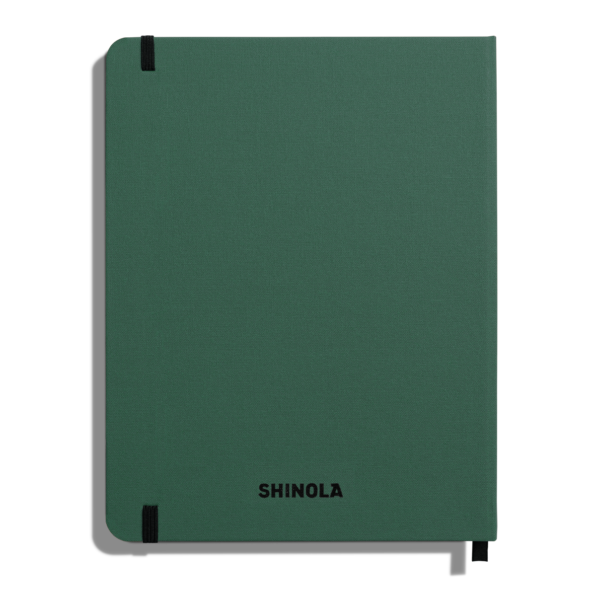 Large Hard Ruled Journal - Fern