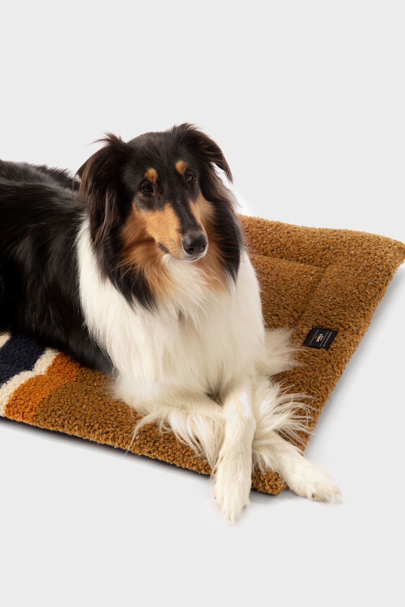 A long-haired black, white, and tan dog with folded front paws lies on a Shinola Crate Comfort Mat - Stripe Brown against a plain light background.