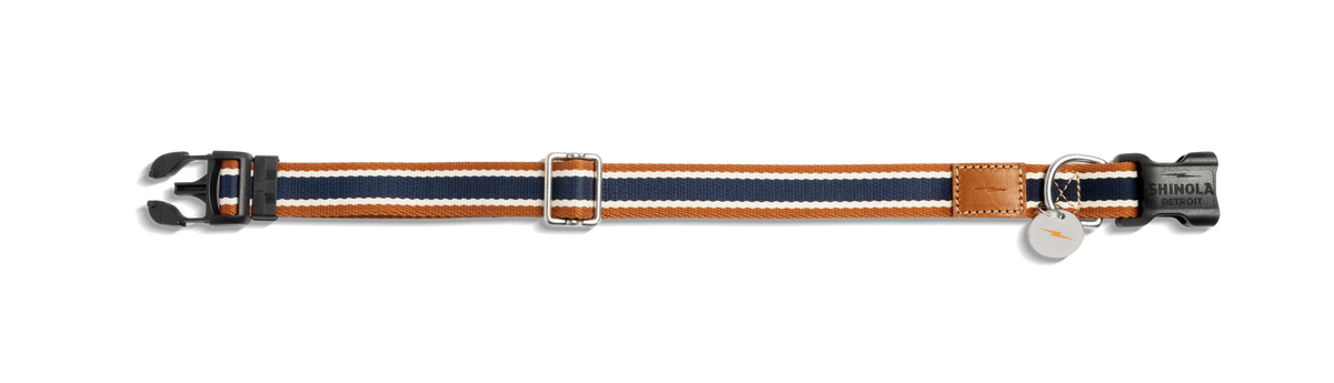 Nylon Dog Collar - Brand Stripe