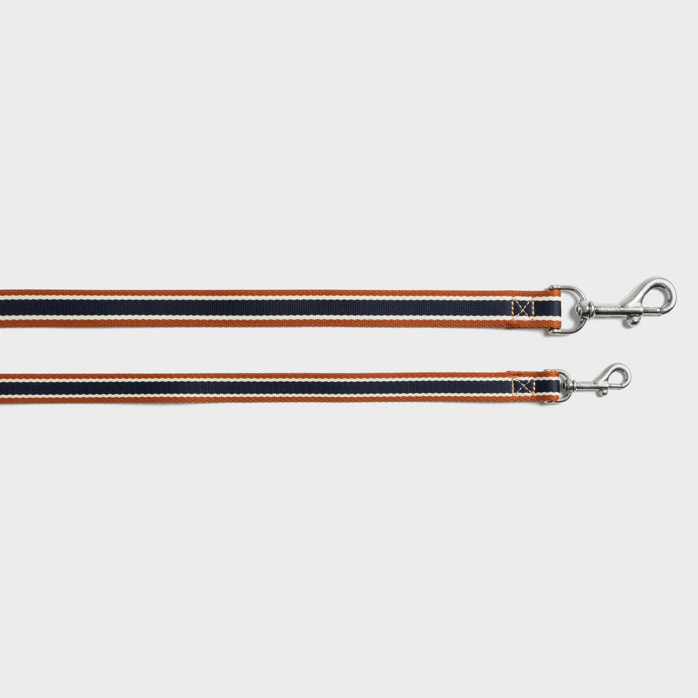 Nylon Dog Leash - Brand Stripe