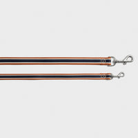 Nylon Dog Leash - Brand Stripe