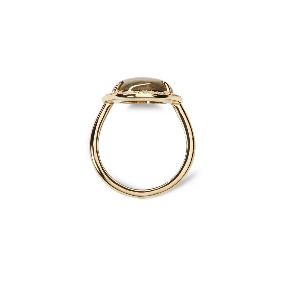 Diamond Pave Oval Petoskey Ring - Yellow Gold
