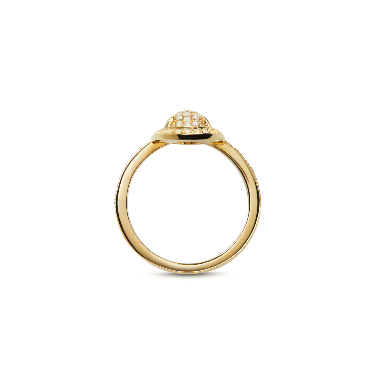 Diamond Pave Oval Ring - Yellow Gold