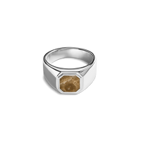 Octagonal Inlay Signet Ring Petoskey