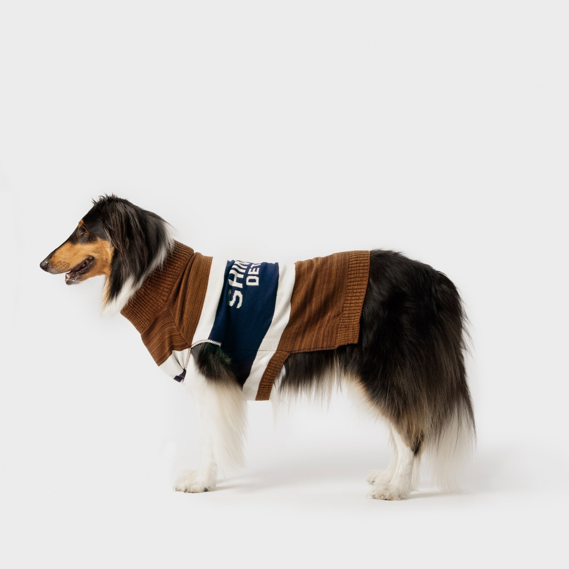 Dog Sweater - Brand Stripe / Tan