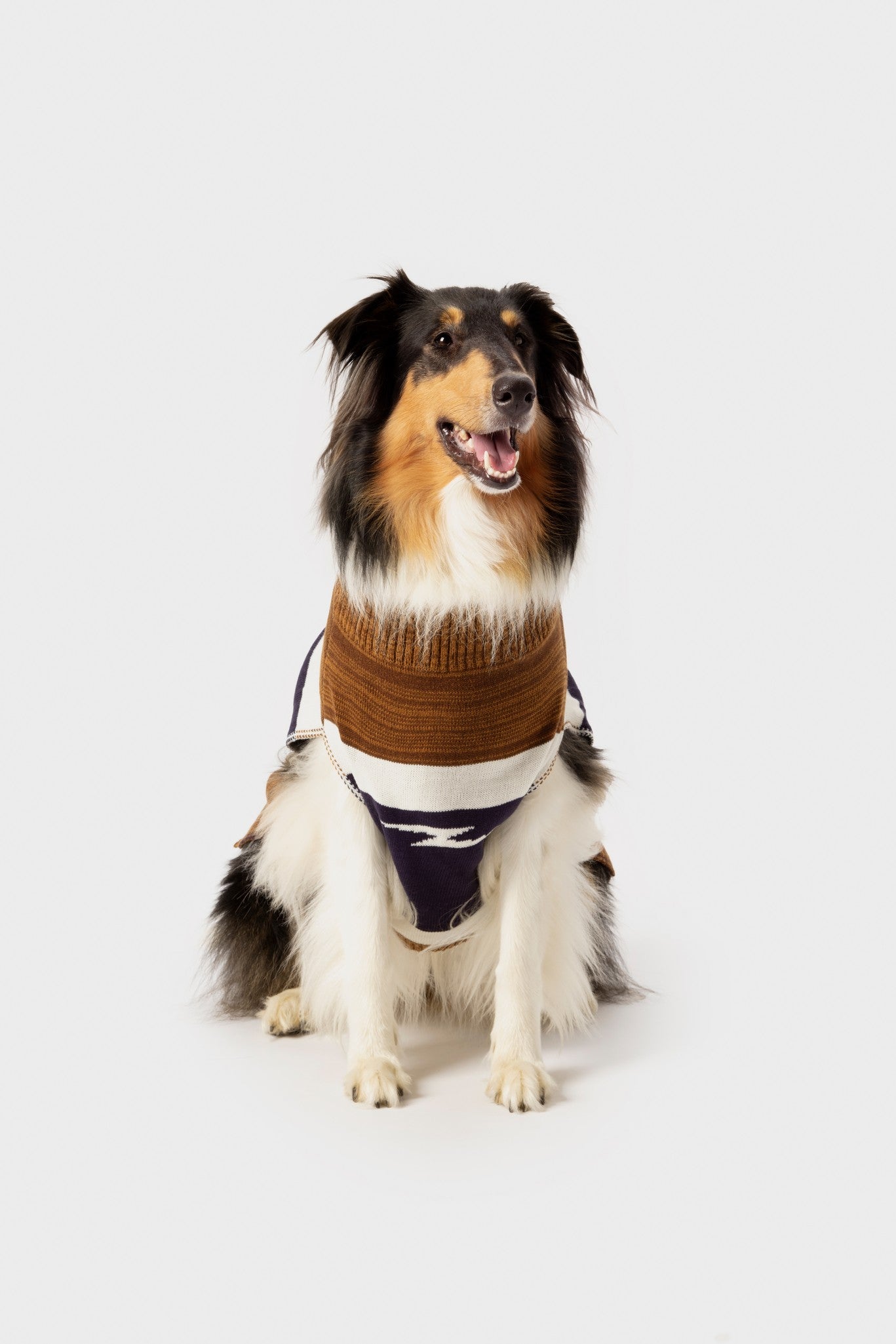 Dog Sweater - Brand Stripe / Tan