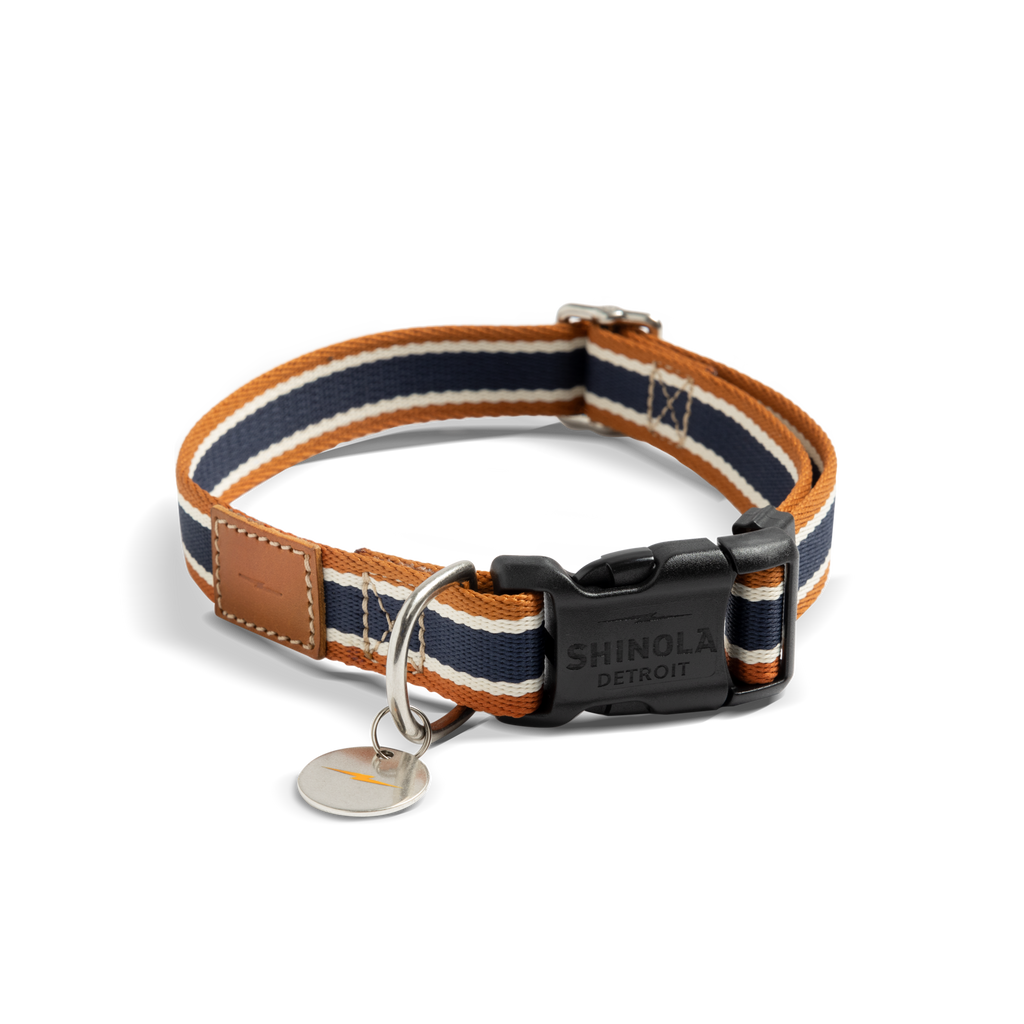 Nylon Dog Collar Brand Stripe