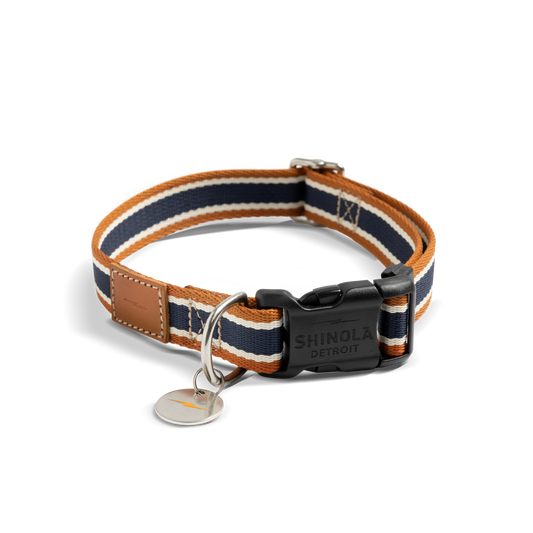 Nylon Dog Collar - Brand Stripe