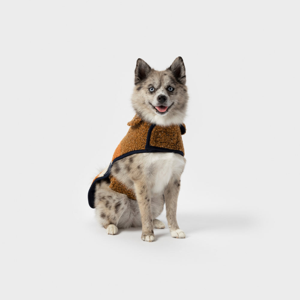 Dog Coat - Brand Stripe / Tan