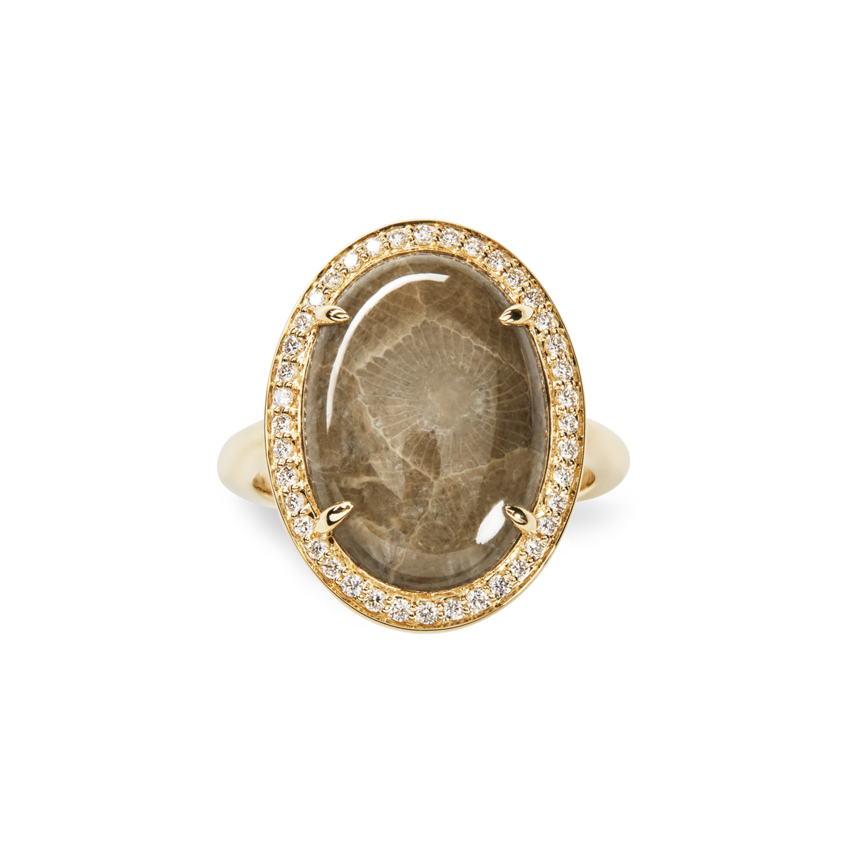 Diamond Pave Oval Petoskey Ring - Yellow Gold