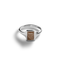 Petite Rectangular Petoskey Stone Ring