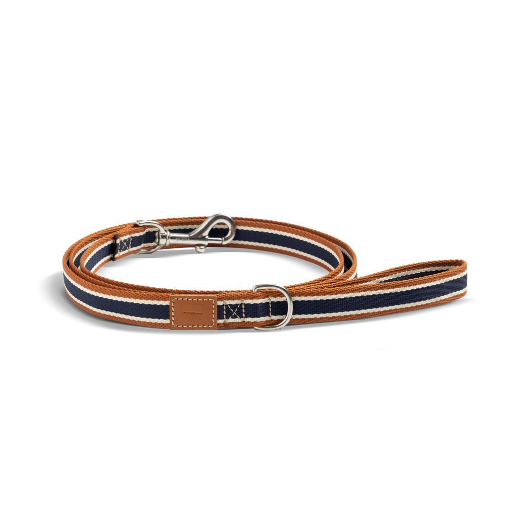 Nylon Dog Leash Brand Stripe