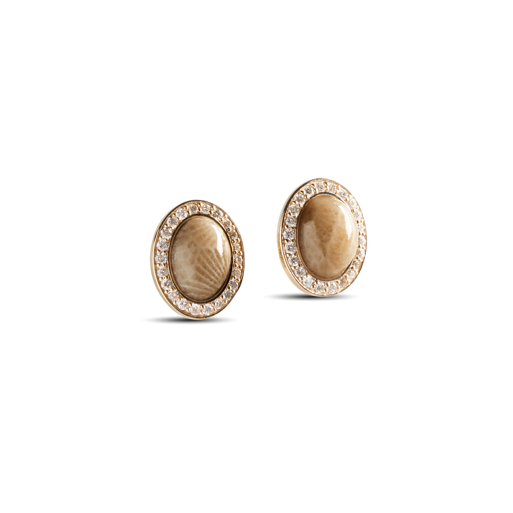 Diamond Pave Book Petoskey Studs Yellow Gold