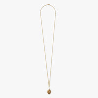 Diamond Pave Petoskey Necklace - Yellow Gold