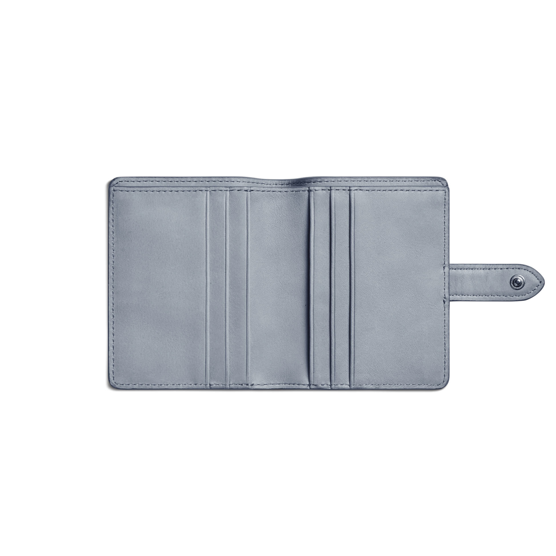 Small Snap Wallet - Mist