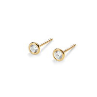 1/4 Carat Round Diamond Bezel Stud Earrings - Yellow Gold