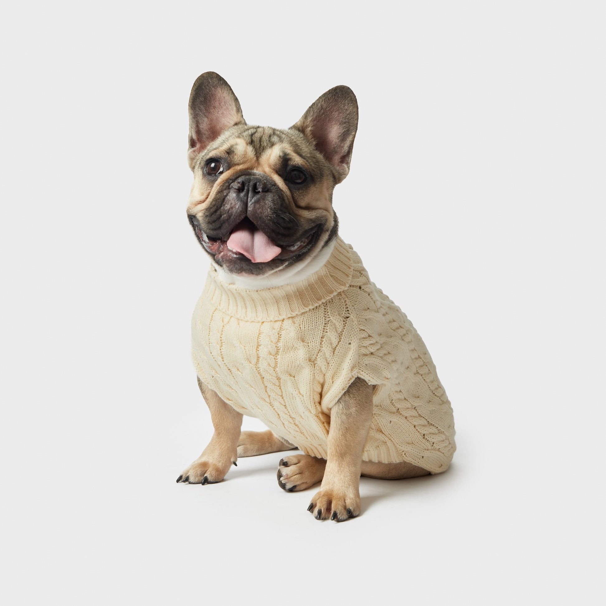 Cable Knit Dog Sweater - Ivory
